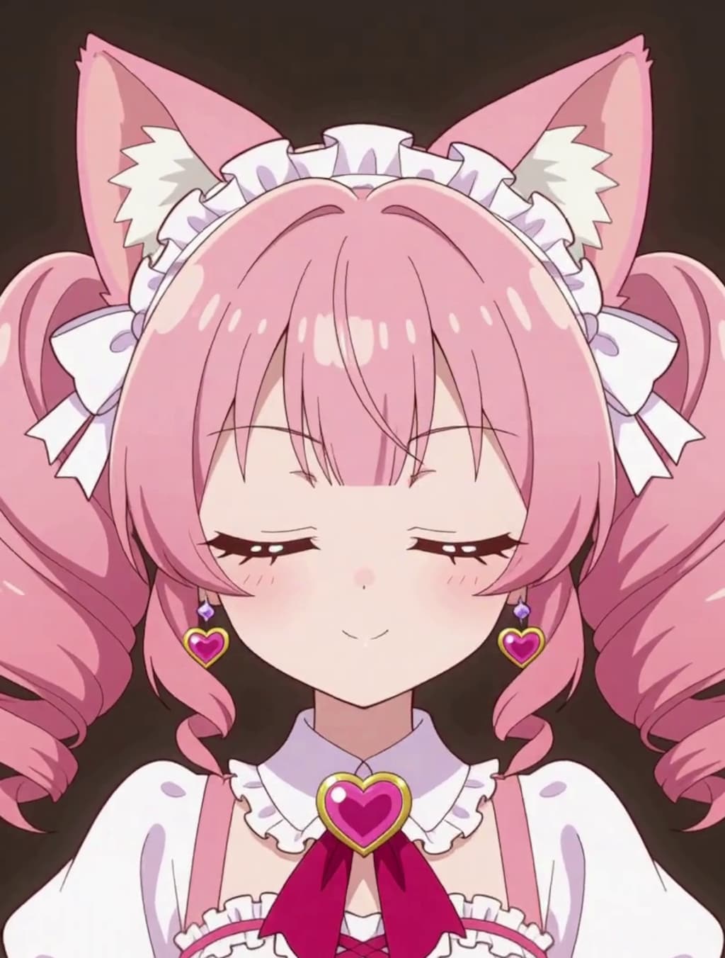 変身！魔法少女 ねこちゃん【パラパライラスト４０】