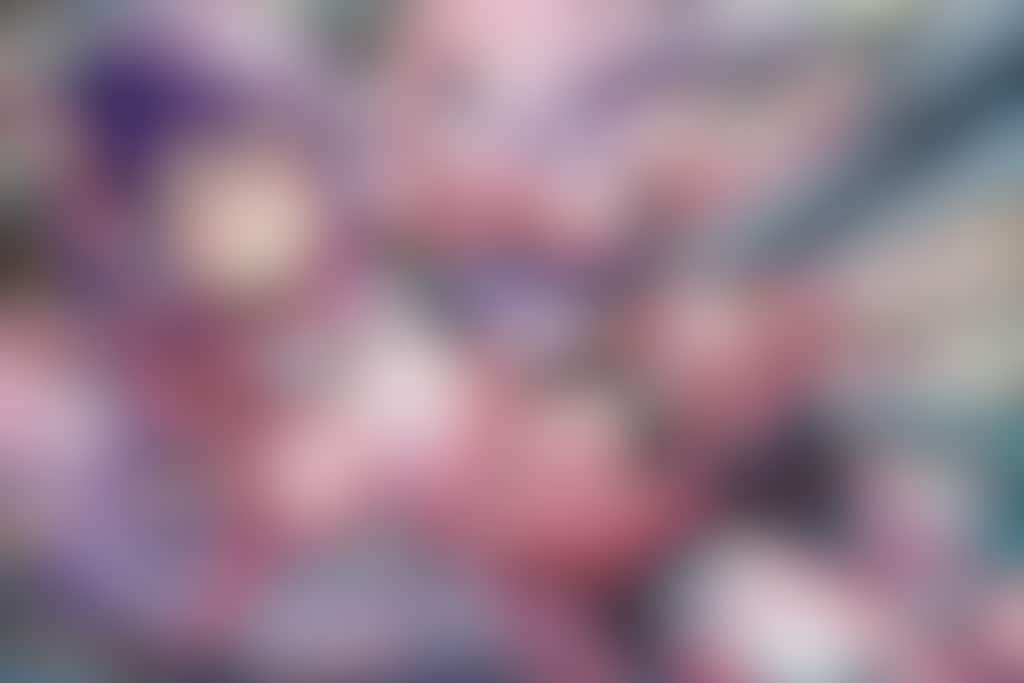 装甲天使 ～When the Rose Armor begins to breathe～