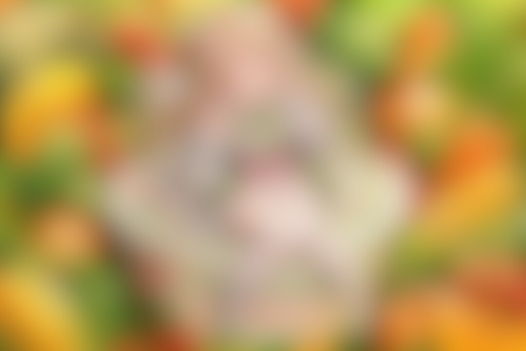 ベジタブルヌードル ボツ画像