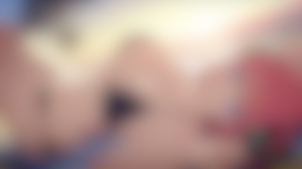 本日の中野二乃/nakano_nino/go-toubun no hanayome