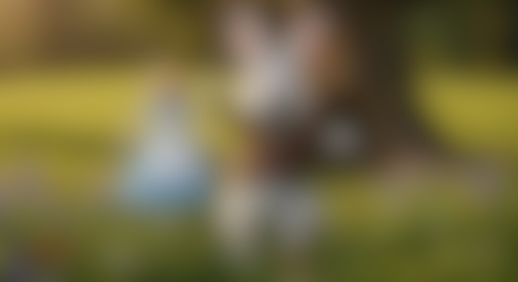 白ウサギを追って穴に落ちる冒頭シーン -3