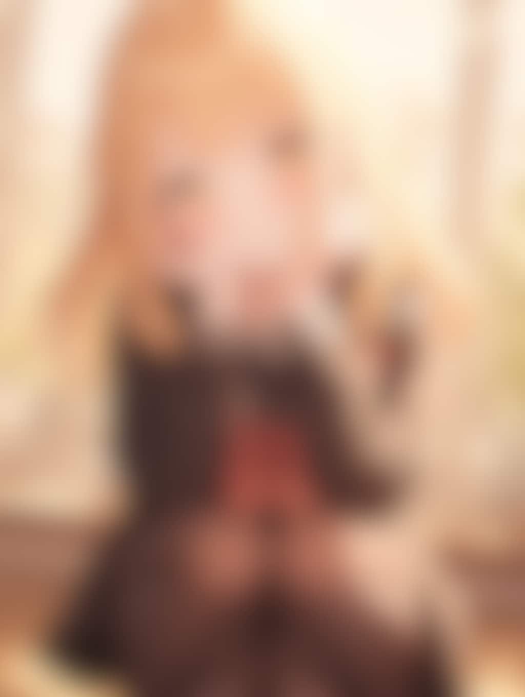 JK猫の視点285～291