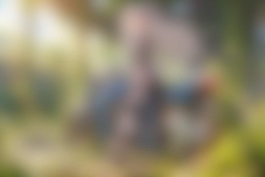 廃線を辿る