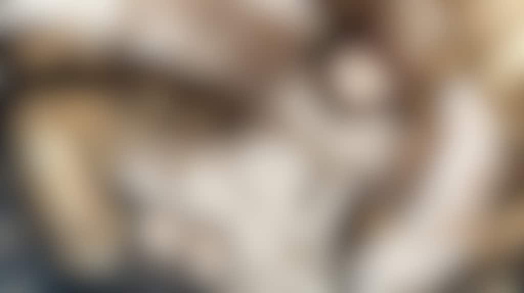 機械仕掛けの守護天使