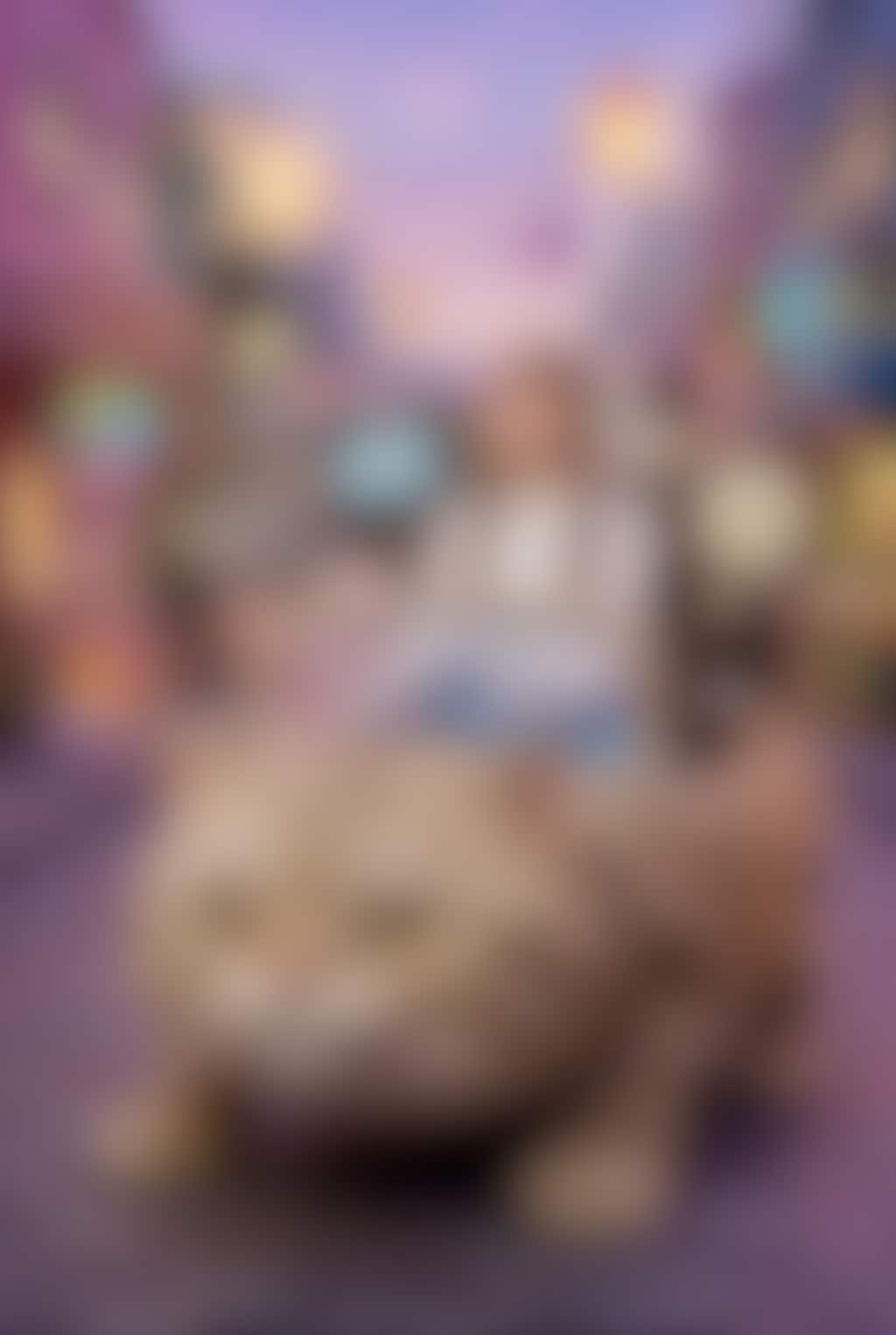 猫車幻遊