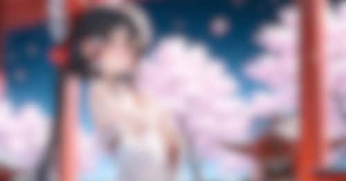 ちきんこんぼせっと