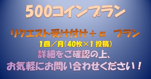 リクエスト用（月1回）の特別プランです