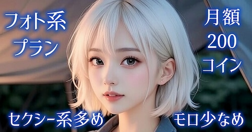 フォト系プラン