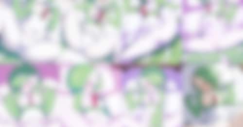 プレミアムプラン