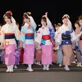 阿波おどり 5枚目