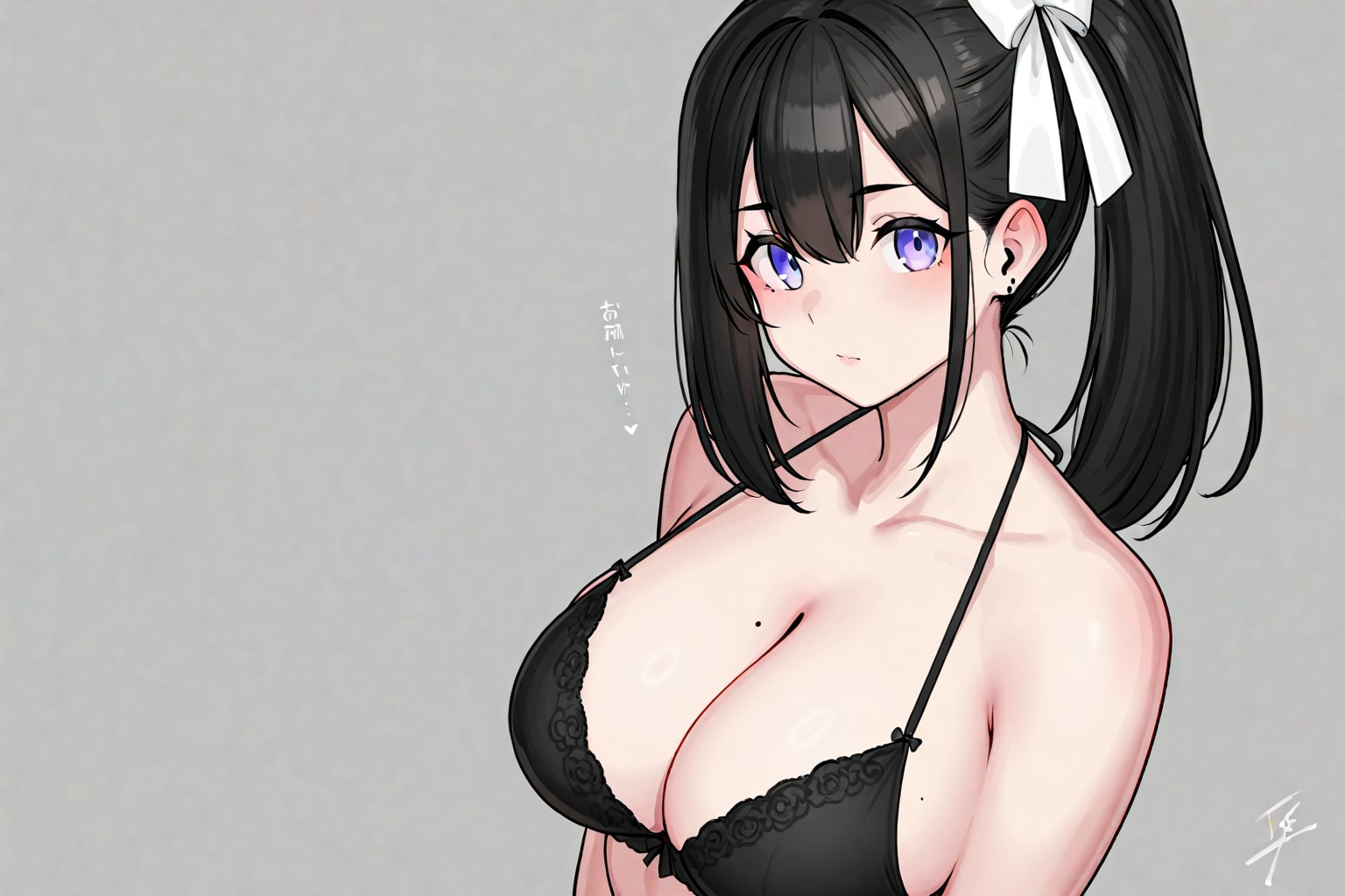No.315 はやぶさの日2