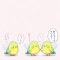 フェアリー喋るインコのダンス 9枚目