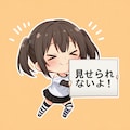 フィオーレ・ボルジア2 6枚目