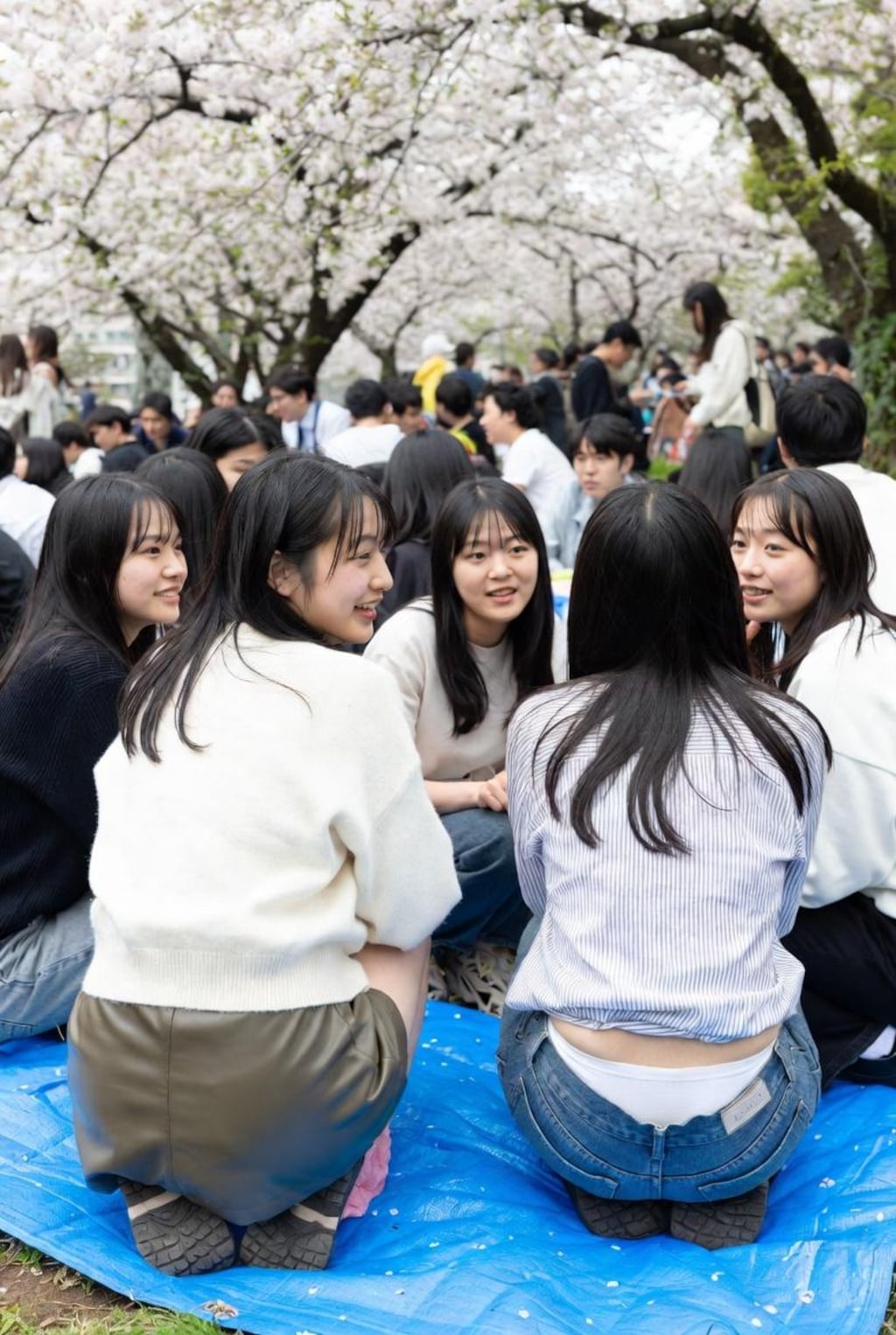お花見で油断すると...