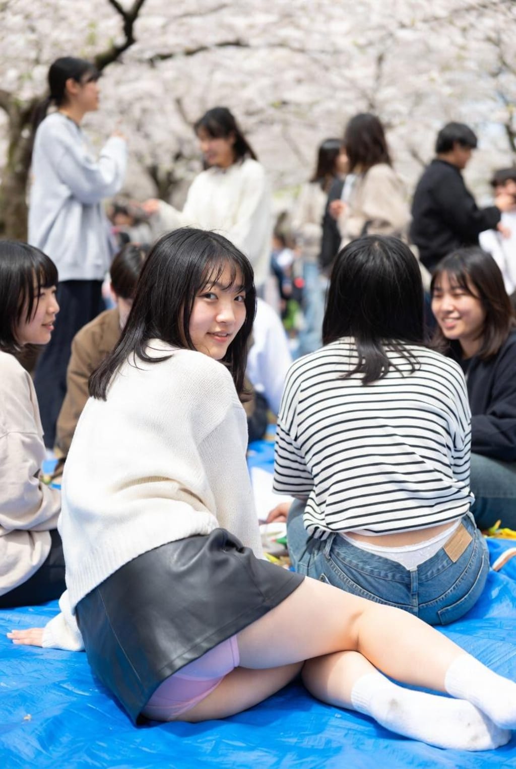 お花見で油断すると...