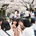 お花見で油断すると... 5枚目