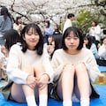 お花見で油断すると... 3枚目