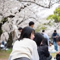 お花見で油断すると... 6枚目