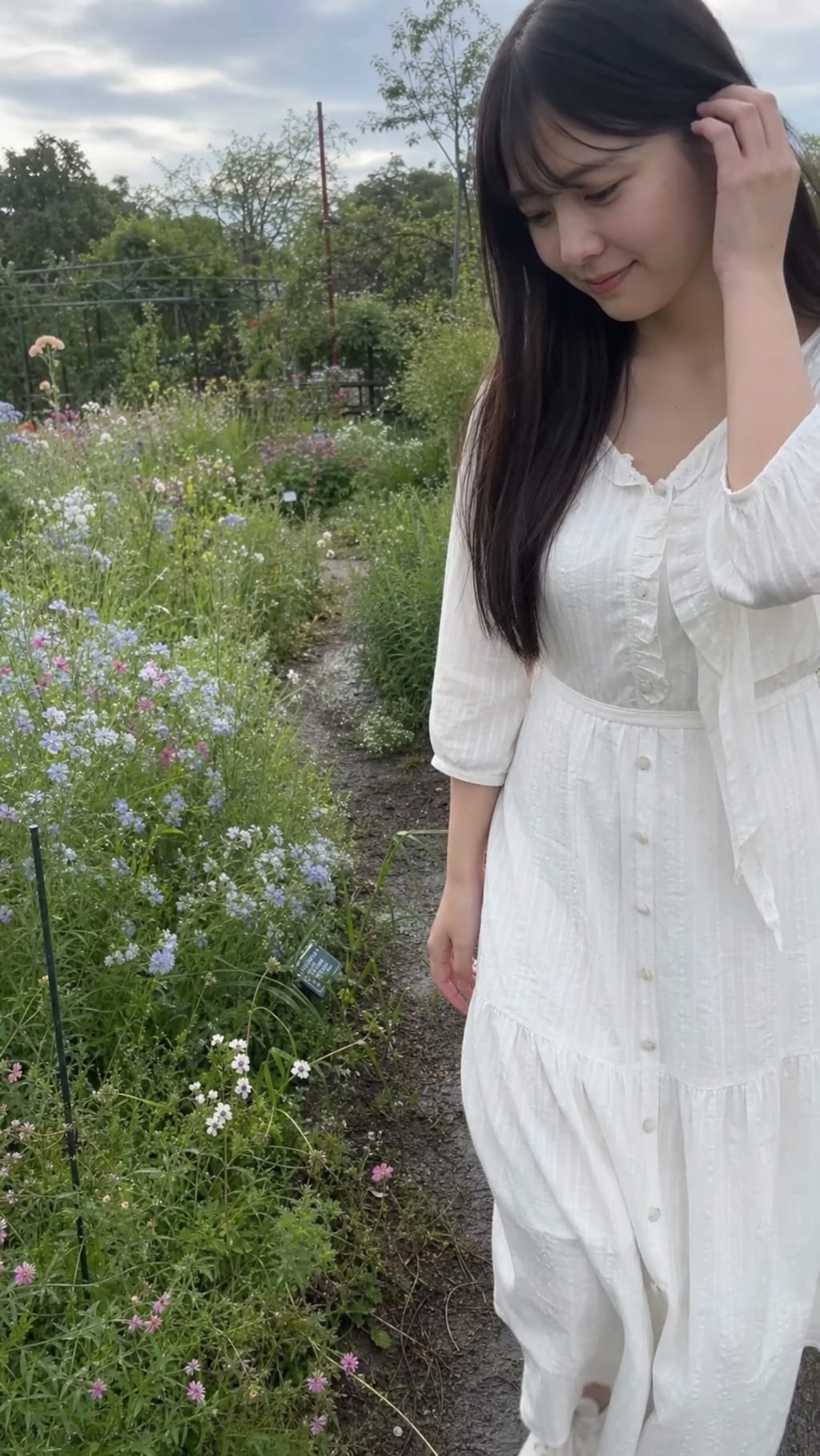 Where Summer Blooms Softly