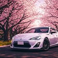 車と桜 4枚目