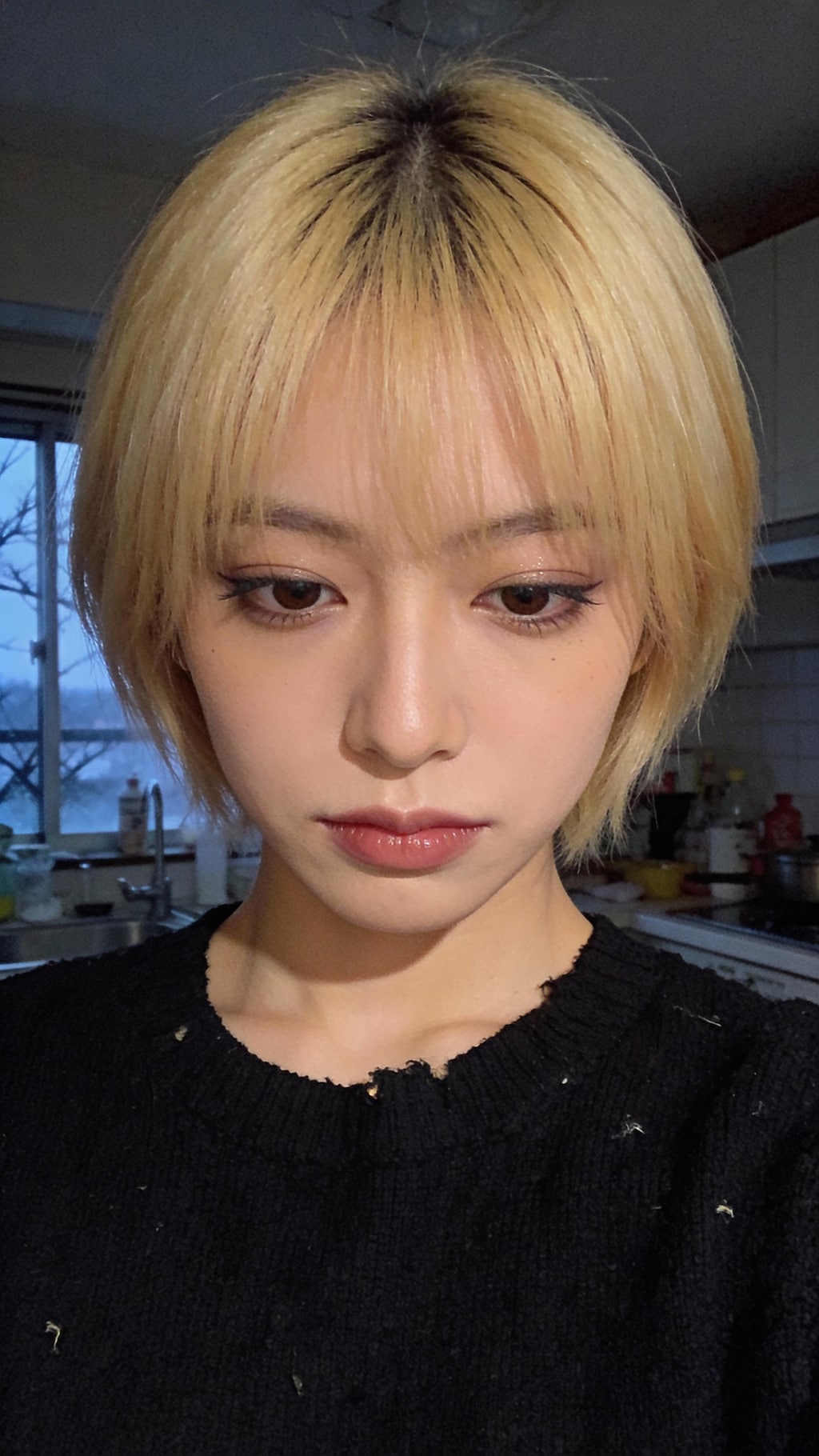 Gaze through the Midnight Snow