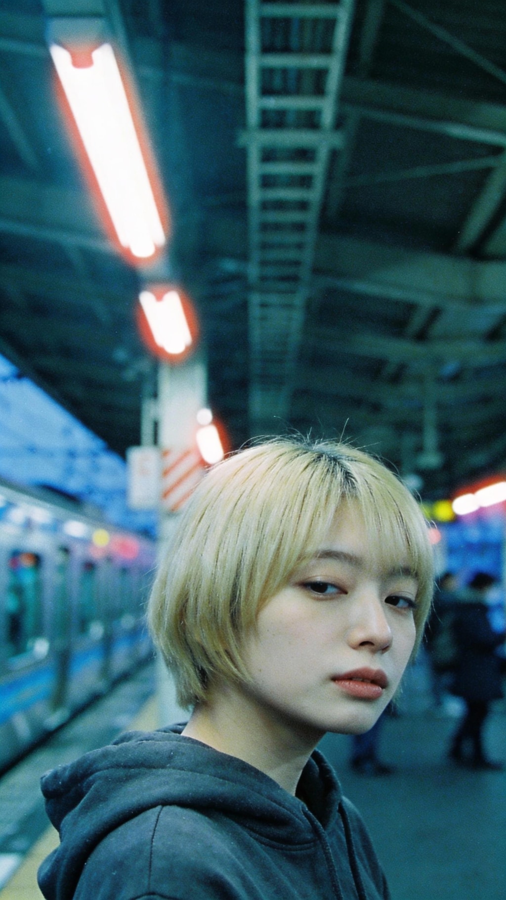 Gaze through the Midnight Snow