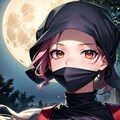 忍者 4枚目