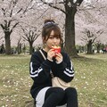 お花見ポテト 3枚目