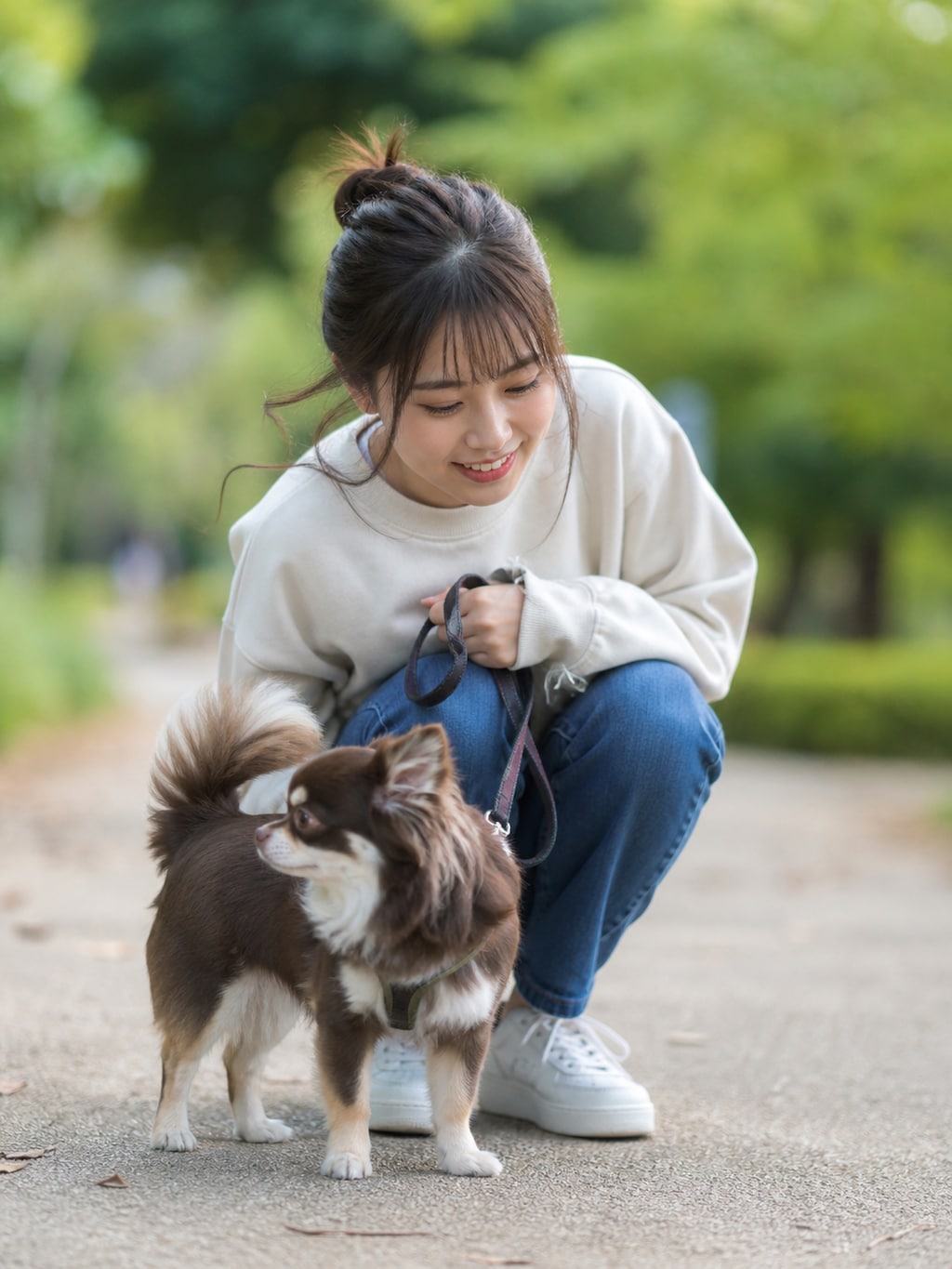 犬の散歩