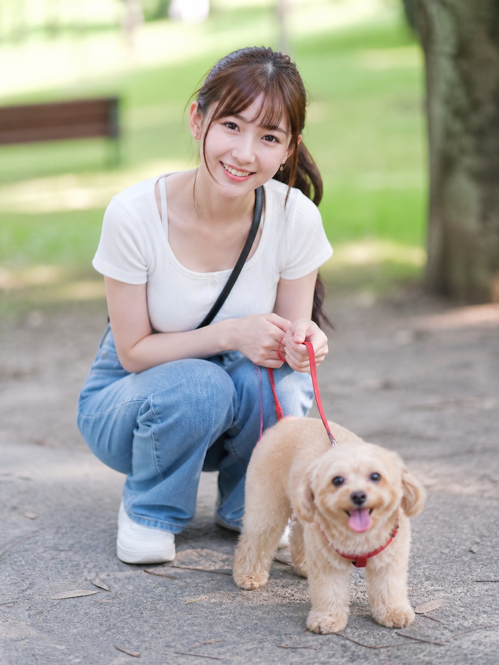 犬の散歩