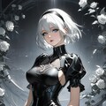 2B 9枚目