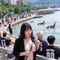 シャチが、なんとクジラを追って湾内に入って来たみたいです。すごい、自然の驚異だわ！ 2枚目