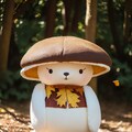 キノコの国から来たんやね 6枚目