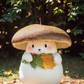 キノコの国から来たんやね 7枚目