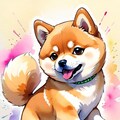 柴犬くん 2枚目