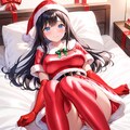 光沢サンタコス 6枚目