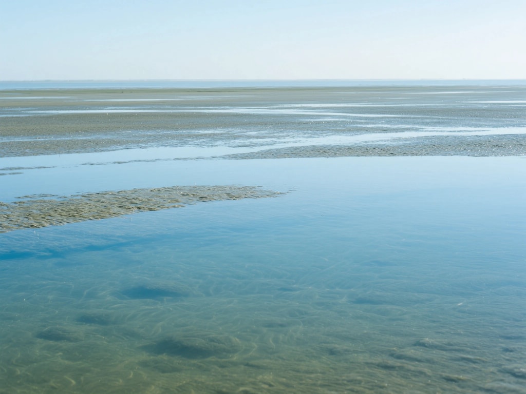 ワッデン海