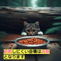 (🐈🐈🐈)ねこなみの最終問題　[猫可愛い学園の入〇転送]9行目～11行目 5枚目