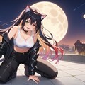 月夜の黒猫 5枚目