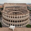コロッセオ 10枚目