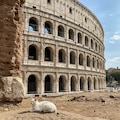 コロッセオ 8枚目