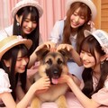犬って最高だーーー！ 6枚目