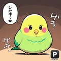 喋るインコ亜流 4枚目