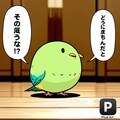 喋るインコ亜流 8枚目