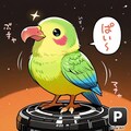 喋るインコ亜流 7枚目