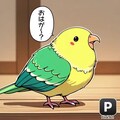 喋るインコ亜流 6枚目