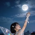 Moonlight Wings Above the City 4枚目