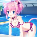 水着を見せよう！ 2枚目