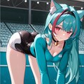 nte ミント 4枚目