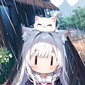 雨と白髪ちゃんと猫 3枚目